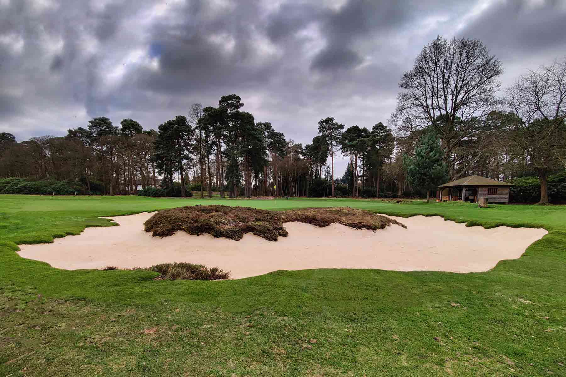 New Zealand GC