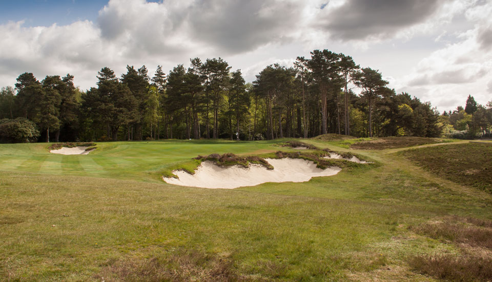 Broadstone 8